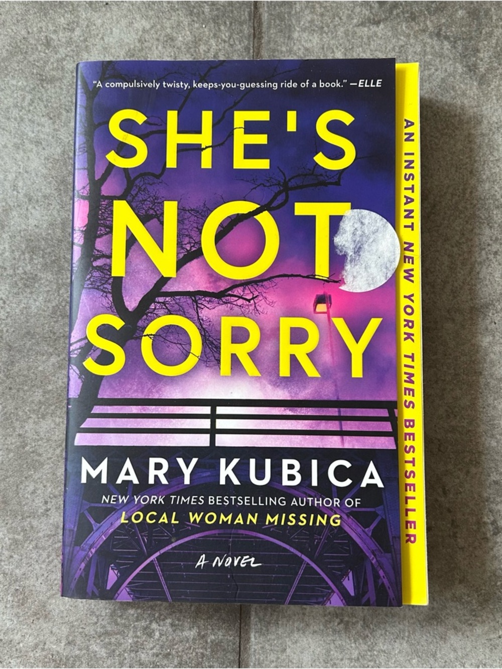 She's Not Sorry by Mary Kubica